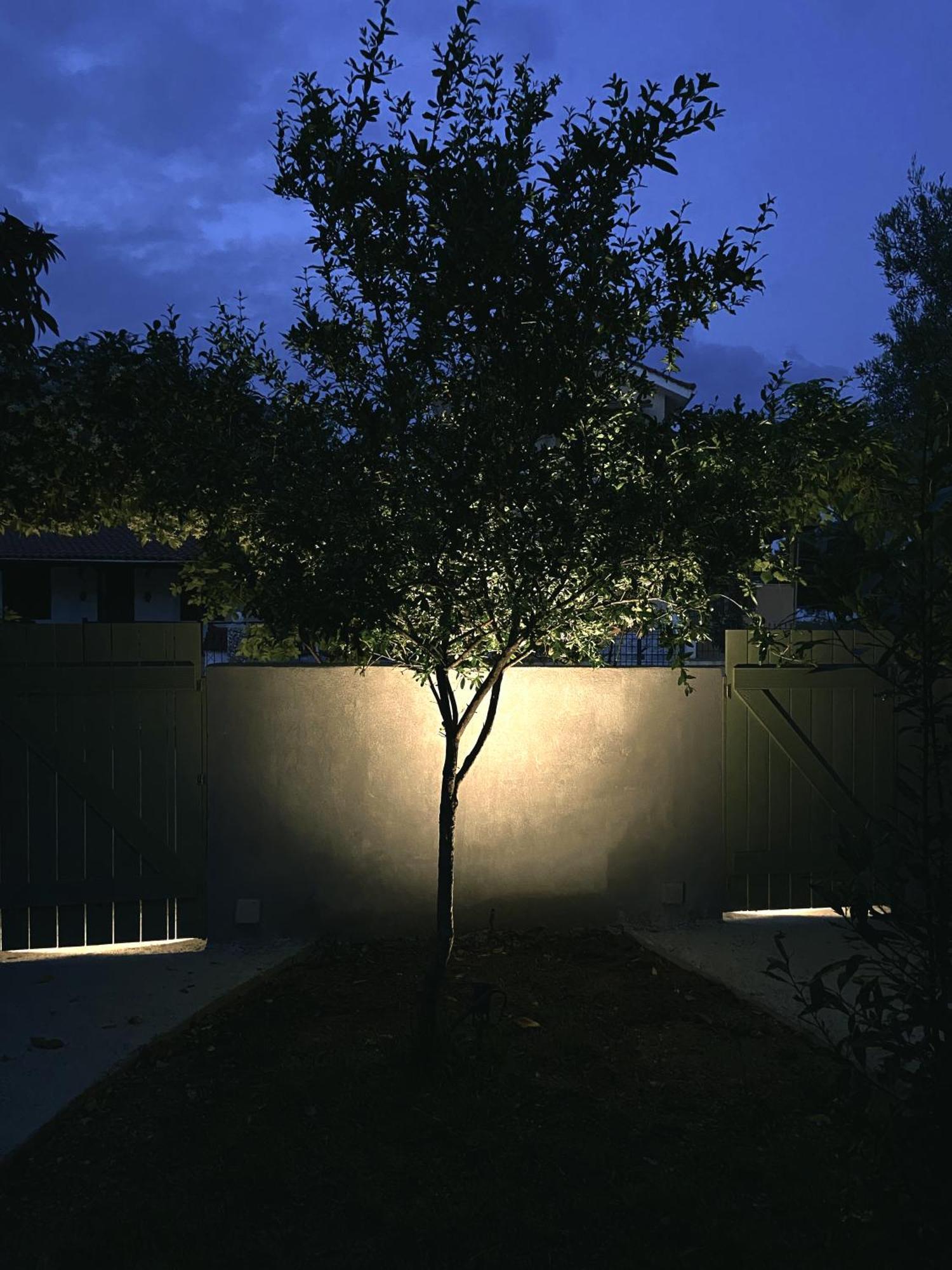 Anthonas House Lägenhet Nikiti  Exteriör bild