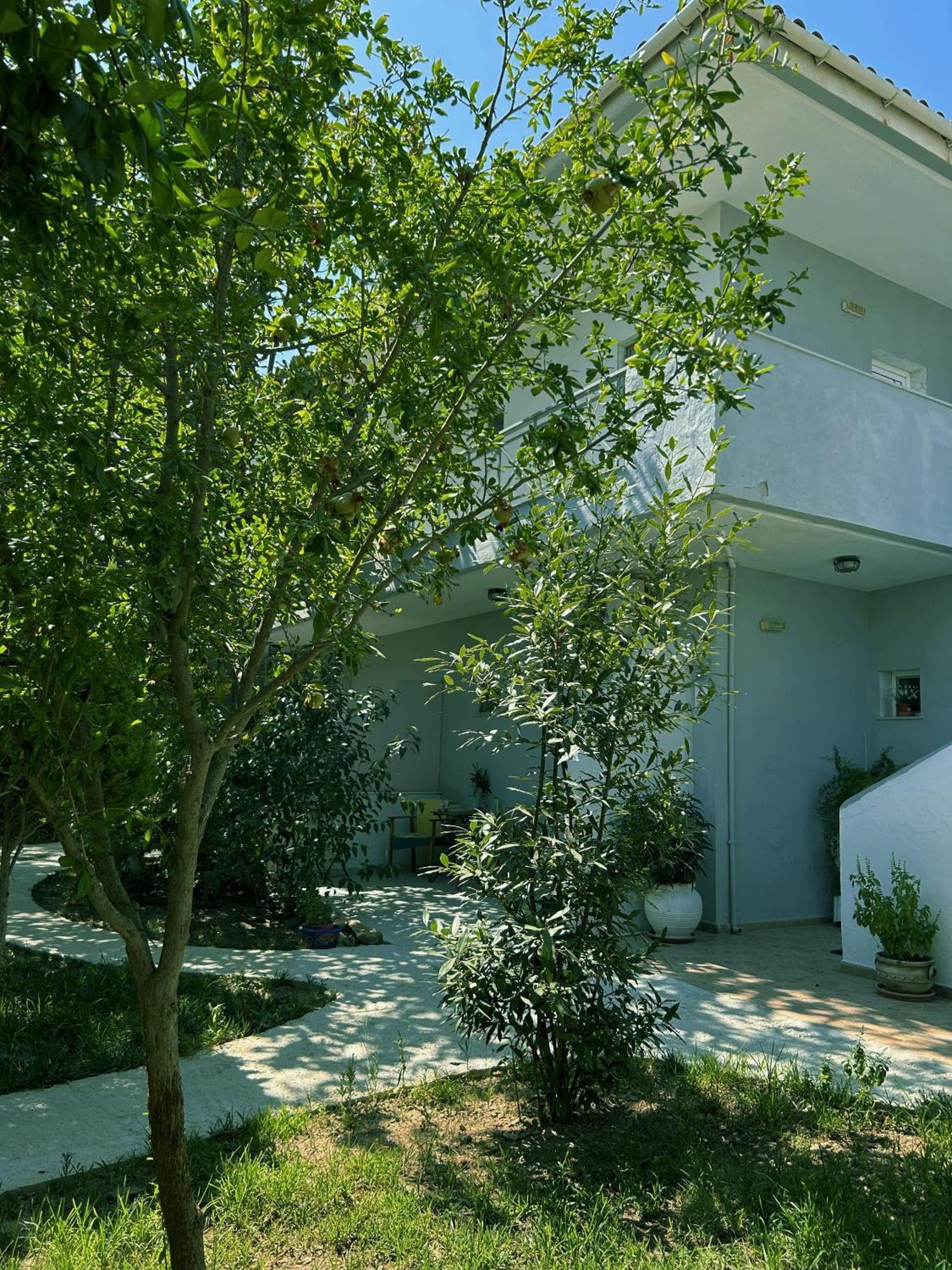 Anthonas House Lägenhet Nikiti  Exteriör bild